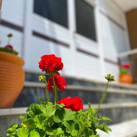 Thealos Inn Nea Vrasna Bagian luar foto