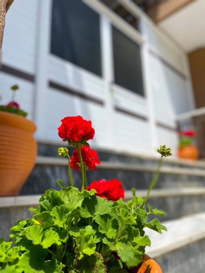 Thealos Inn Nea Vrasna Bagian luar foto