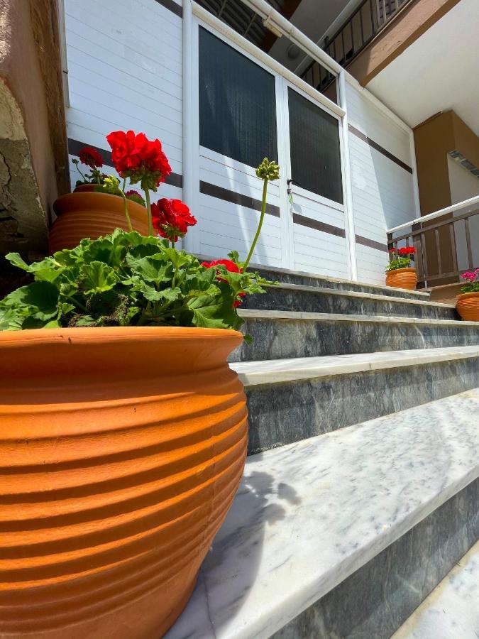 Thealos Inn Nea Vrasna Bagian luar foto